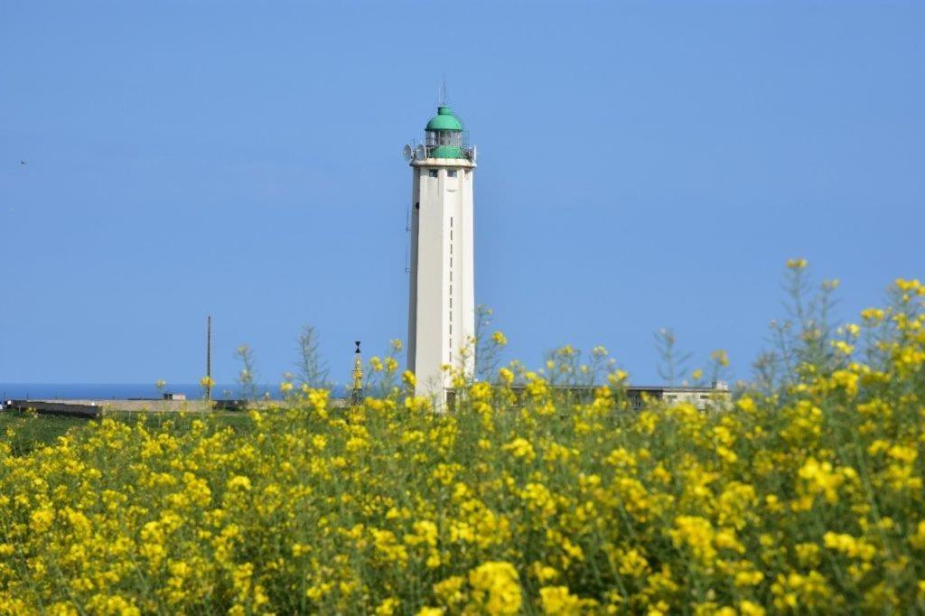 Le Fief Beaurepaire 76280 Bed and Breakfast Εξωτερικό φωτογραφία
