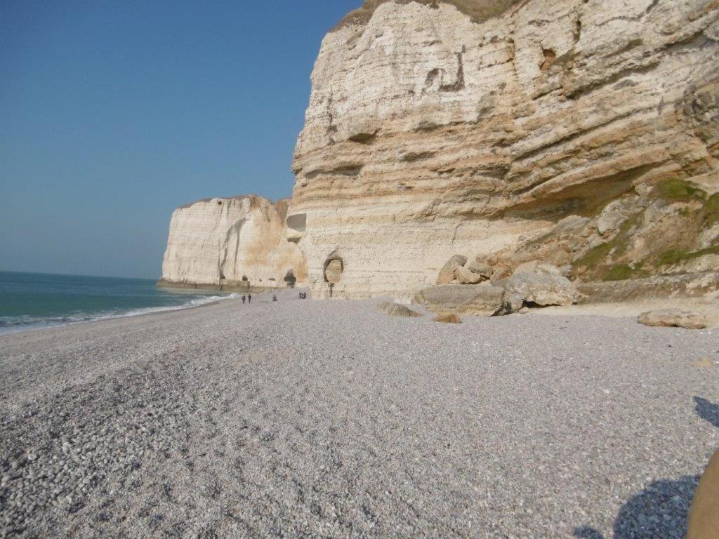 Le Fief Beaurepaire 76280 Bed and Breakfast Εξωτερικό φωτογραφία