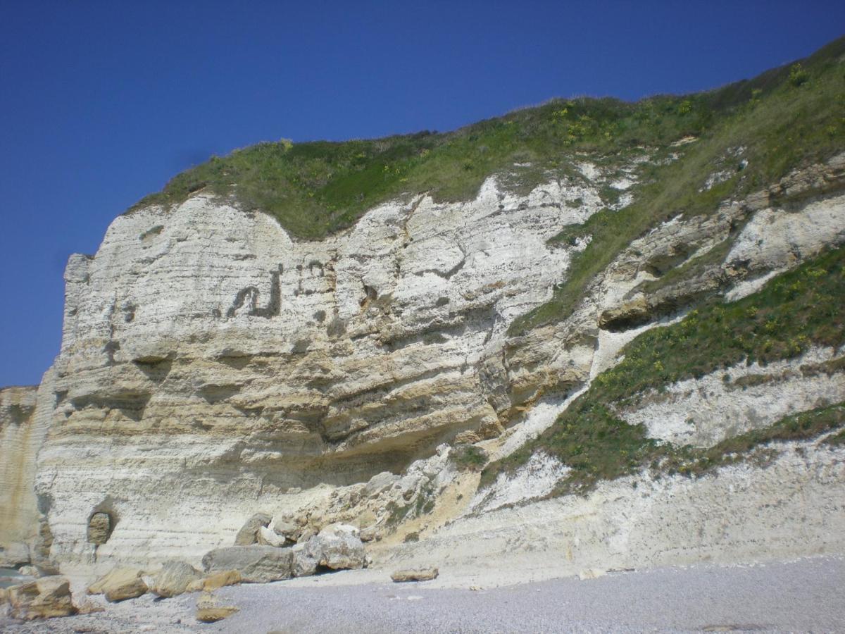 Le Fief Beaurepaire 76280 Bed and Breakfast Εξωτερικό φωτογραφία
